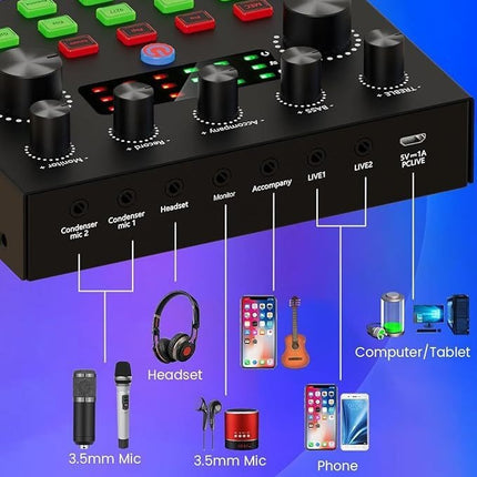 Condenser Microphone V8S Equipment With Voice Converter Suit