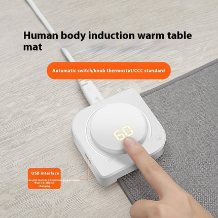 Heated Mouse Pad