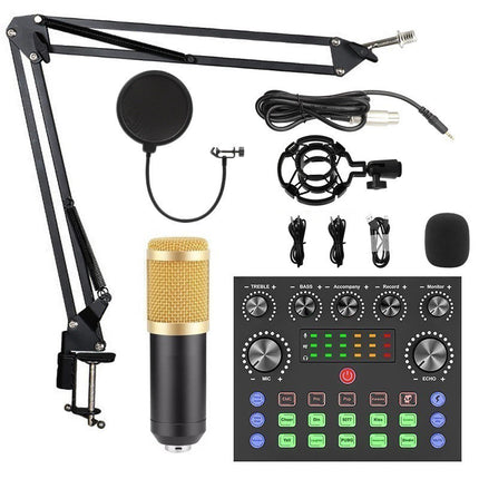 Condenser Microphone V8S Equipment With Voice Converter Suit