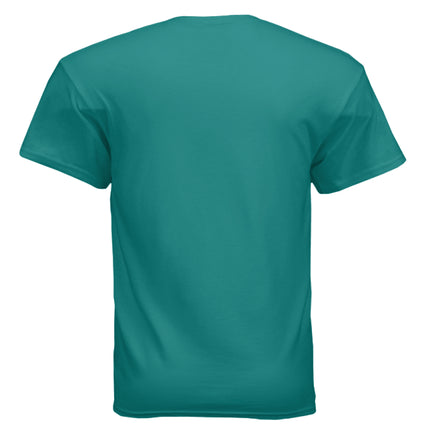 Back of a plain teal t-shirt with short sleeves.